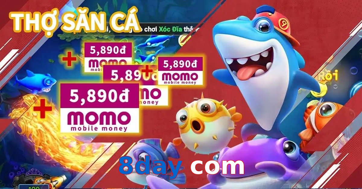 8day com