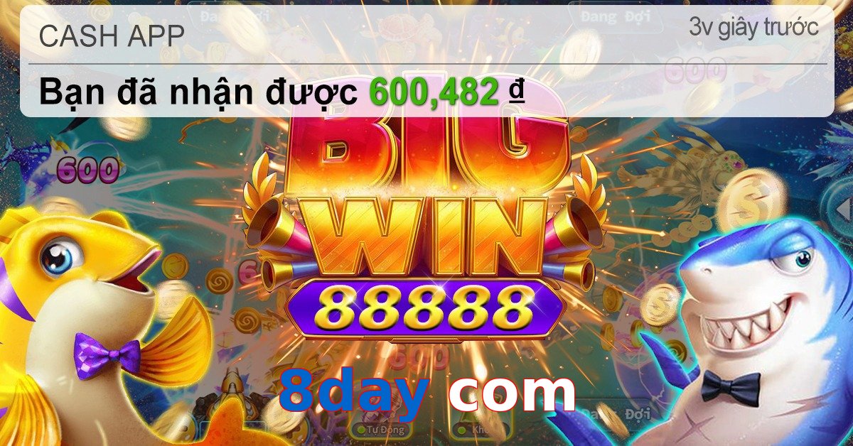 8day com